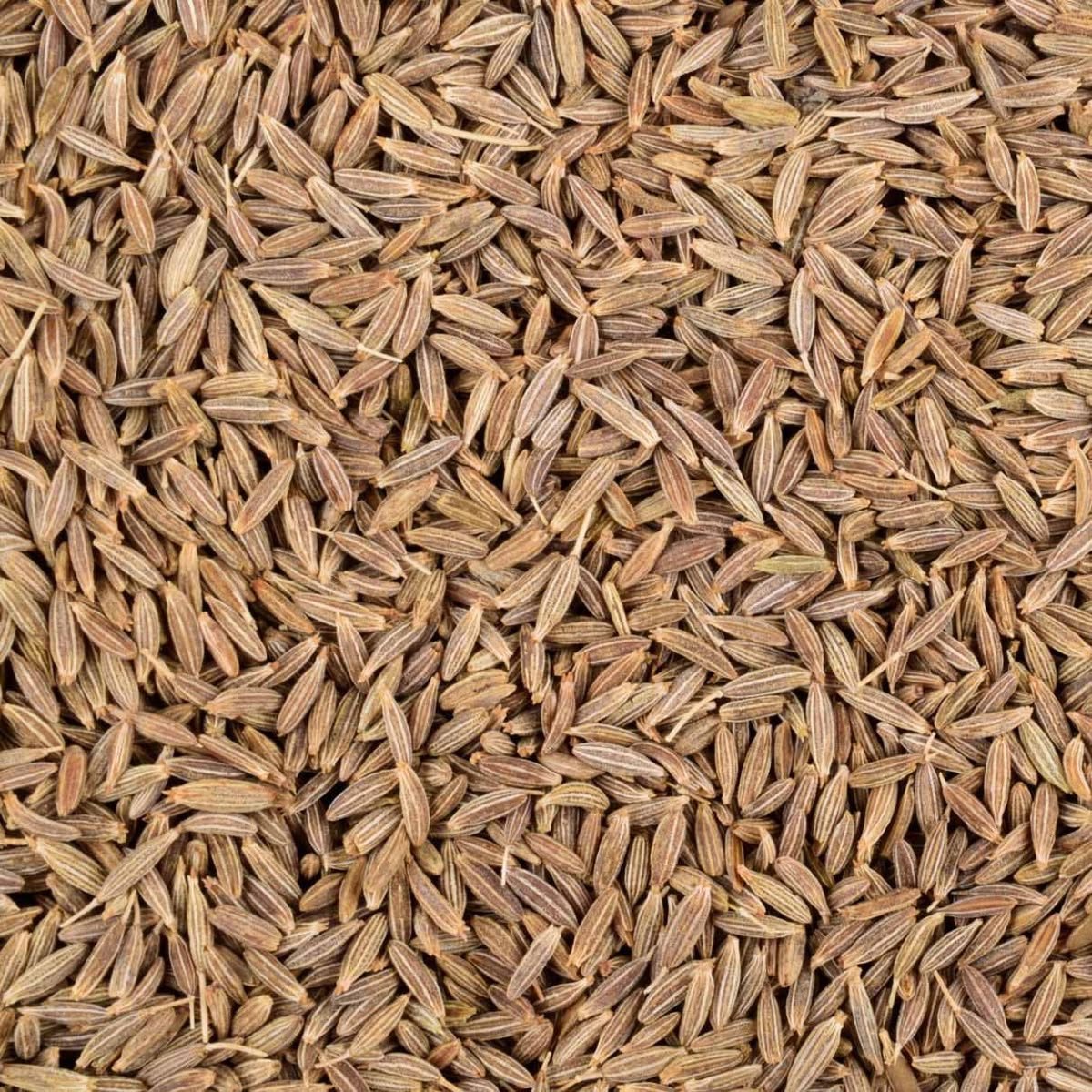 Cumin Seed - Chakor Enterprises